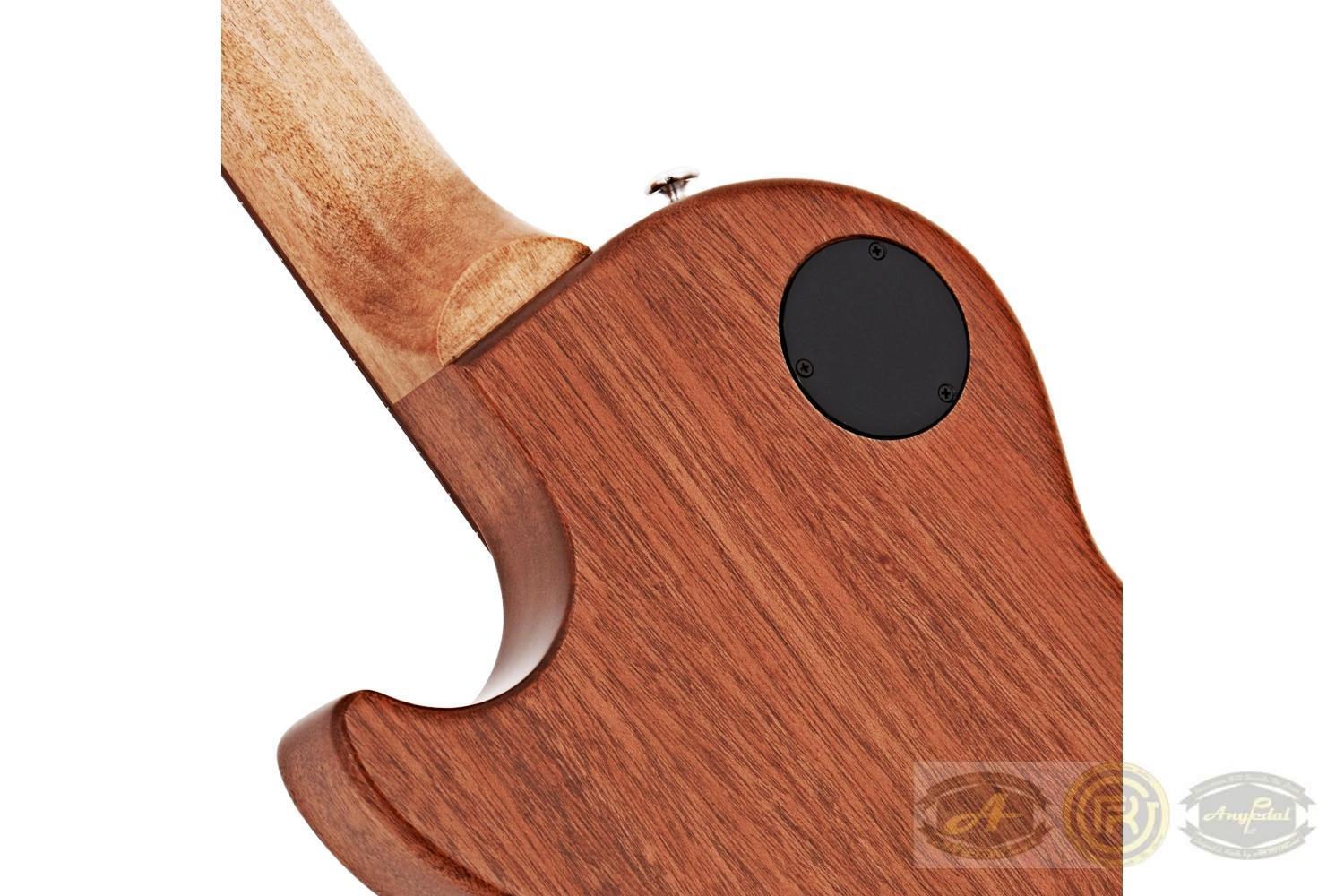 NATURE LES PAUL - Imatge 4